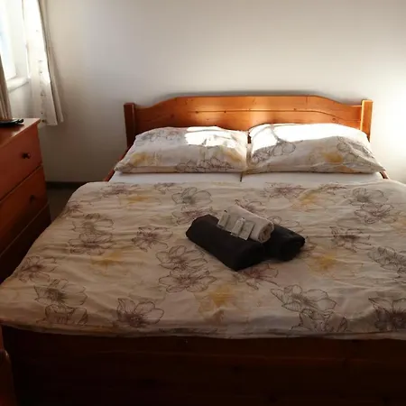 Guest house Vlcarna 3*